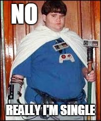 fat gamer | NO; REALLY I'M SINGLE | image tagged in lonely,fat gamer,loser,nintendo | made w/ Imgflip meme maker