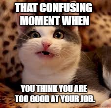 Too good at my job | THAT CONFUSING MOMENT WHEN; YOU THINK YOU ARE TOO GOOD AT YOUR JOB. | image tagged in confused,cat,good at job | made w/ Imgflip meme maker