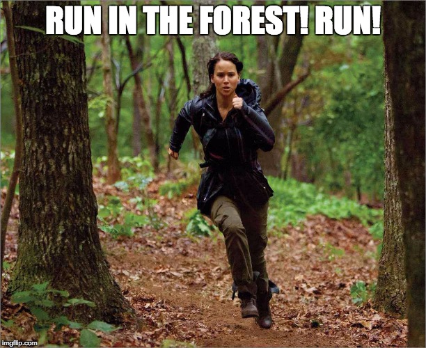 RUN FOREST! RUN! | RUN IN THE FOREST! RUN! | image tagged in hunger games,katniss everdeen,running | made w/ Imgflip meme maker