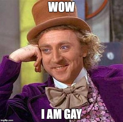 Creepy Condescending Wonka | WOW; I AM GAY | image tagged in memes,creepy condescending wonka | made w/ Imgflip meme maker