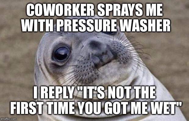 Awkward Seal | COWORKER SPRAYS ME WITH PRESSURE WASHER; I REPLY "IT'S NOT THE FIRST TIME YOU GOT ME WET" | image tagged in awkward seal | made w/ Imgflip meme maker