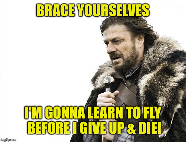 Brace Yourselves X is Coming Meme | BRACE YOURSELVES I'M GONNA LEARN TO FLY BEFORE I GIVE UP & DIE! | image tagged in memes,brace yourselves x is coming | made w/ Imgflip meme maker