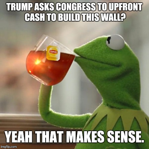 But That's None Of My Business Meme | TRUMP ASKS CONGRESS TO UPFRONT CASH TO BUILD THIS WALL? YEAH THAT MAKES SENSE. | image tagged in memes,but thats none of my business,kermit the frog | made w/ Imgflip meme maker