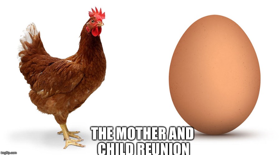 Chicken and egg | THE MOTHER AND CHILD REUNION | image tagged in chicken and egg | made w/ Imgflip meme maker
