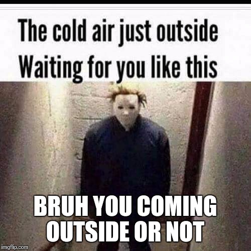BRUH YOU COMING OUTSIDE OR NOT | image tagged in brutal | made w/ Imgflip meme maker