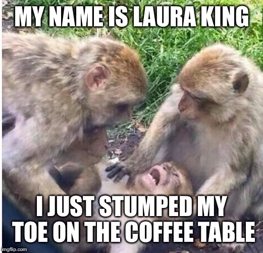 Shocked monkey | MY NAME IS LAURA KING; I JUST STUMPED MY TOE ON THE COFFEE TABLE | image tagged in shocked monkey | made w/ Imgflip meme maker