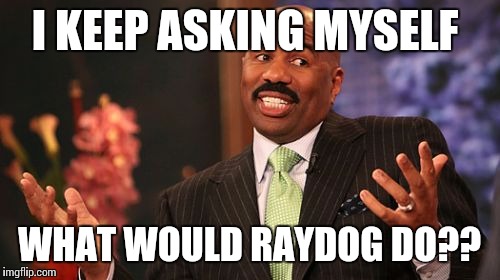 Steve Harvey | I KEEP ASKING MYSELF; WHAT WOULD RAYDOG DO?? | image tagged in memes,steve harvey | made w/ Imgflip meme maker