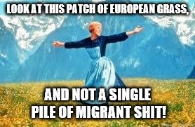 Look At All These Meme | LOOK AT THIS PATCH OF EUROPEAN GRASS, AND NOT A SINGLE PILE OF MIGRANT SHIT! | image tagged in memes,look at all these | made w/ Imgflip meme maker