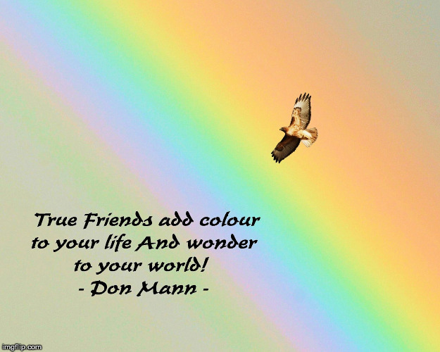 Hawk Rainbow | image tagged in wisdom,love,hawk,rainbow,friends | made w/ Imgflip meme maker