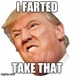 trump fart | I FARTED; TAKE THAT | image tagged in donald trump | made w/ Imgflip meme maker