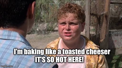 Porter Sandlot toasted cheeser  | I'm baking like a toasted cheeser; IT'S SO HOT HERE! | image tagged in porter sandlot toasted cheeser | made w/ Imgflip meme maker