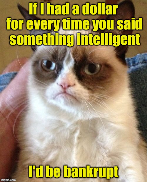 Grumpy Cat | If I had a dollar for every time you said something intelligent; I'd be bankrupt | image tagged in memes,grumpy cat | made w/ Imgflip meme maker