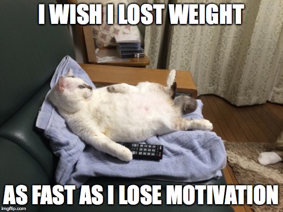 Unmotivated | I WISH I LOST WEIGHT; AS FAST AS I LOSE MOTIVATION | image tagged in fatcat | made w/ Imgflip meme maker