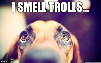 Sad dog | I SMELL TROLLS... | image tagged in sad dog | made w/ Imgflip meme maker