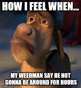 sad donkey | HOW I FEEL WHEN... MY WEEDMAN SAY HE NOT GONNA BE AROUND FOR HOURS | image tagged in sad donkey | made w/ Imgflip meme maker
