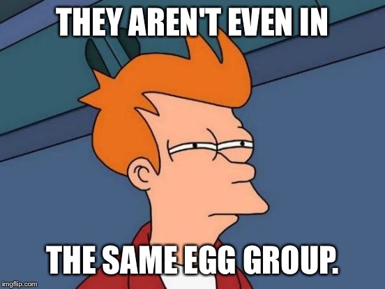 Futurama Fry Meme | THEY AREN'T EVEN IN THE SAME EGG GROUP. | image tagged in memes,futurama fry | made w/ Imgflip meme maker