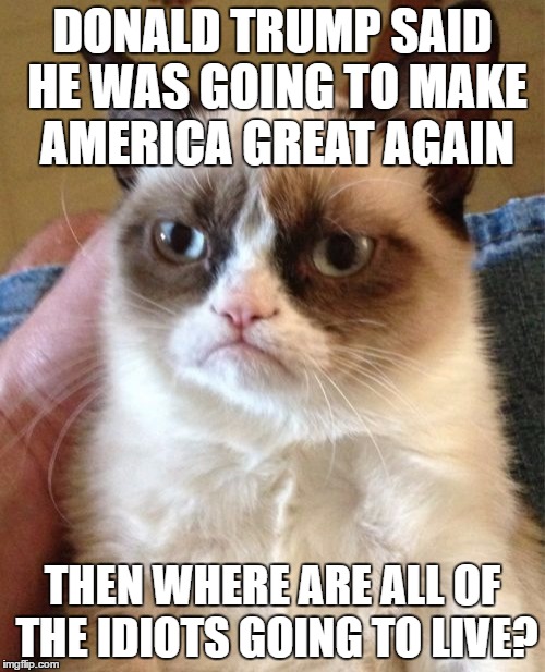 Grumpy Cat Meme | DONALD TRUMP SAID HE WAS GOING TO MAKE AMERICA GREAT AGAIN; THEN WHERE ARE ALL OF THE IDIOTS GOING TO LIVE? | image tagged in memes,grumpy cat | made w/ Imgflip meme maker