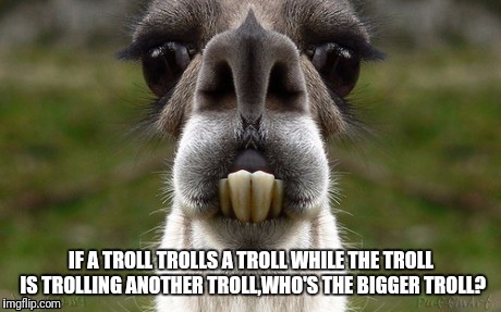 WHO'S THE BIGGER TROLL? | IF A TROLL TROLLS A TROLL WHILE THE TROLL IS TROLLING ANOTHER TROLL,WHO'S THE BIGGER TROLL? | image tagged in trolls,internet trolls,troll,trolling | made w/ Imgflip meme maker