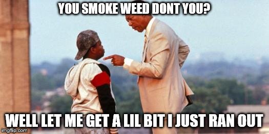 You Smoke Crack Don't you? | YOU SMOKE WEED DONT YOU? WELL LET ME GET A LIL BIT I JUST RAN OUT | image tagged in you smoke crack don't you | made w/ Imgflip meme maker