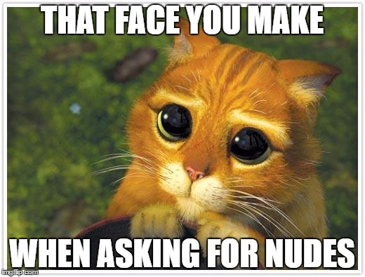 Shrek Cat Meme | THAT FACE YOU MAKE; WHEN ASKING FOR NUDES | image tagged in memes,shrek cat | made w/ Imgflip meme maker