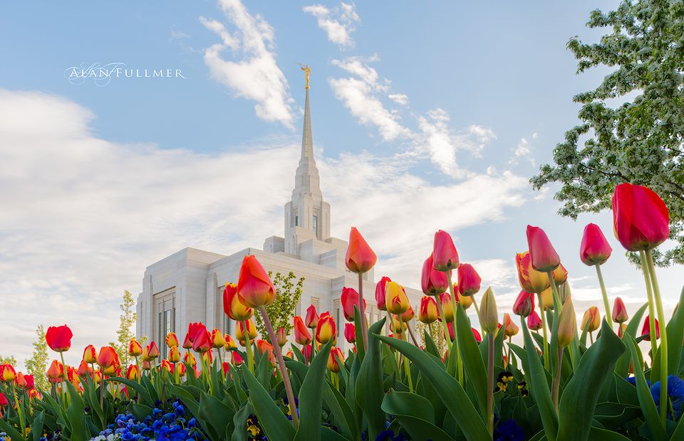 Ogden LDS Temple Tulips Blank Meme Template