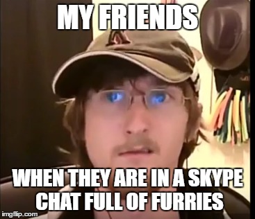 My friends are middle ground with furries... | MY FRIENDS; WHEN THEY ARE IN A SKYPE CHAT FULL OF FURRIES | image tagged in furry,skype chat,skype | made w/ Imgflip meme maker