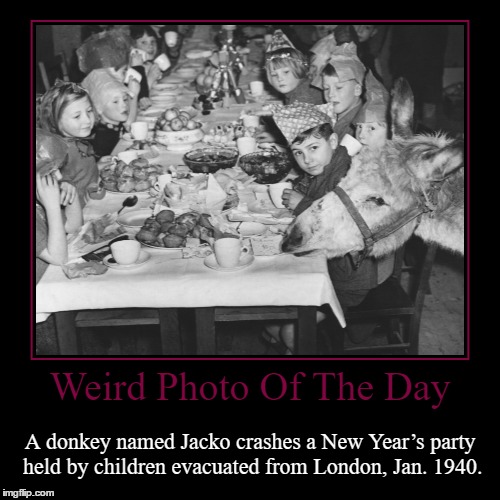 The Jackass Of The Party | image tagged in funny,demotivationals,weird,photo of the day,new year's,jackass | made w/ Imgflip demotivational maker