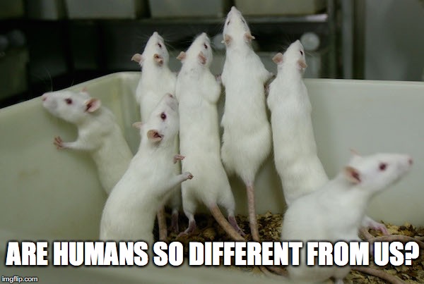 ARE HUMANS SO DIFFERENT FROM US? | made w/ Imgflip meme maker