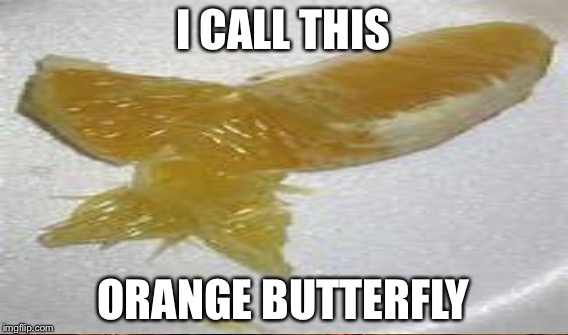 I CALL THIS ORANGE BUTTERFLY | made w/ Imgflip meme maker