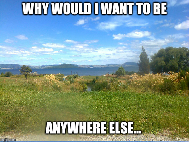 WHY WOULD I WANT TO BE; ANYWHERE ELSE... | image tagged in lakerotorua | made w/ Imgflip meme maker