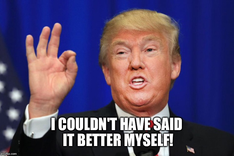 I COULDN'T HAVE SAID IT BETTER MYSELF! | image tagged in trump | made w/ Imgflip meme maker