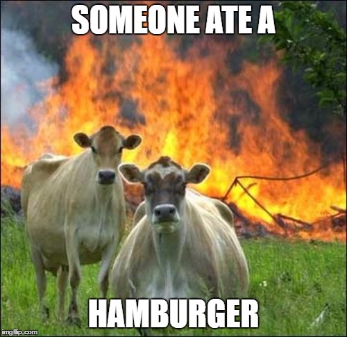 Evil Cows Meme | SOMEONE ATE A; HAMBURGER | image tagged in memes,evil cows | made w/ Imgflip meme maker