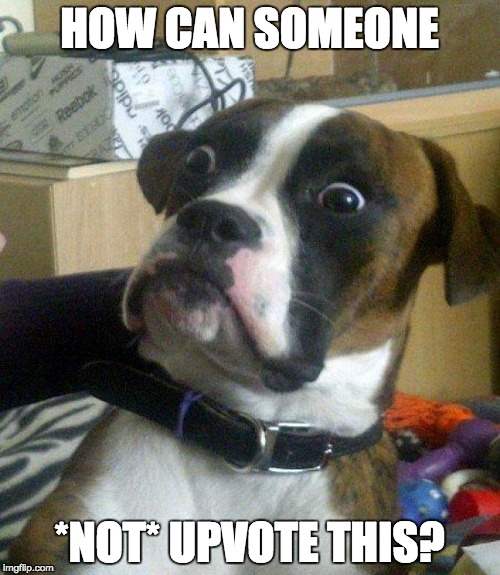 HOW CAN SOMEONE *NOT* UPVOTE THIS? | made w/ Imgflip meme maker