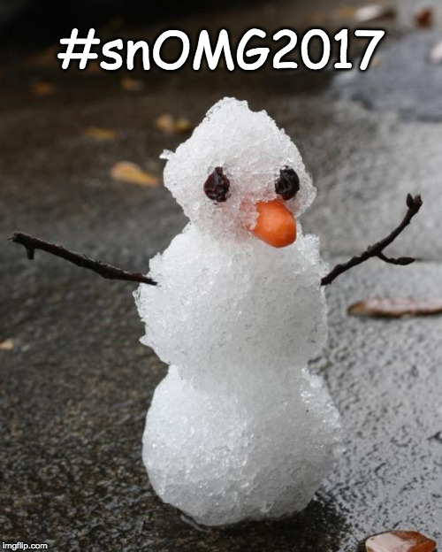 Florida Snowman | #snOMG2017 | image tagged in florida snowman | made w/ Imgflip meme maker