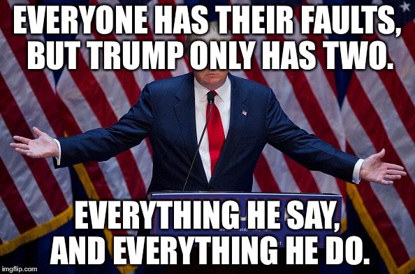 Donald Trump | EVERYONE HAS THEIR FAULTS, BUT TRUMP ONLY HAS TWO. EVERYTHING HE SAY, AND EVERYTHING HE DO. | image tagged in donald trump | made w/ Imgflip meme maker