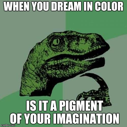 Philosoraptor Meme | WHEN YOU DREAM IN COLOR; IS IT A PIGMENT OF YOUR IMAGINATION | image tagged in memes,philosoraptor | made w/ Imgflip meme maker