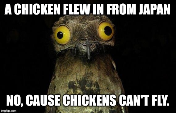 Weird Stuff I Do Potoo | A CHICKEN FLEW IN FROM JAPAN; NO, CAUSE CHICKENS CAN'T FLY. | image tagged in memes,weird stuff i do potoo | made w/ Imgflip meme maker