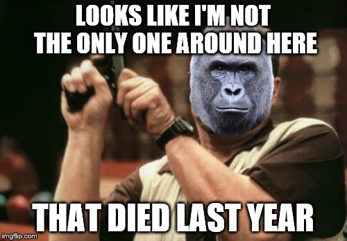 Am I The Only One Around Here Meme | LOOKS LIKE I'M NOT THE ONLY ONE AROUND HERE THAT DIED LAST YEAR | image tagged in memes,am i the only one around here | made w/ Imgflip meme maker