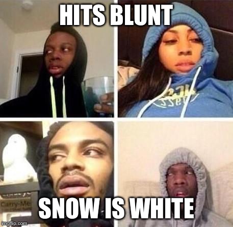 *Hits blunt | HITS BLUNT; SNOW IS WHITE | image tagged in hits blunt | made w/ Imgflip meme maker