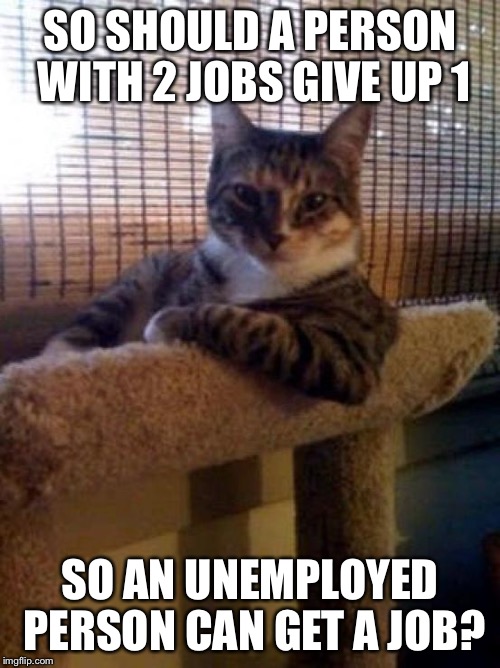 The Most Interesting Cat In The World | SO SHOULD A PERSON WITH 2 JOBS GIVE UP 1; SO AN UNEMPLOYED PERSON CAN GET A JOB? | image tagged in memes,the most interesting cat in the world | made w/ Imgflip meme maker