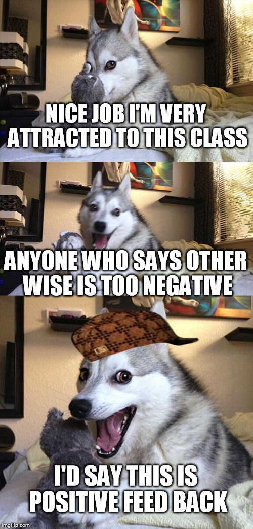 Bad Pun Dog Meme | NICE JOB I'M VERY ATTRACTED TO THIS CLASS; ANYONE WHO SAYS OTHER WISE IS TOO NEGATIVE; I'D SAY THIS IS POSITIVE FEED BACK | image tagged in memes,bad pun dog,scumbag | made w/ Imgflip meme maker