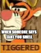 Tiggered | WHEN SOMEONE SAYS TAHT YOU SMELL | image tagged in tiggered | made w/ Imgflip meme maker