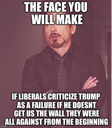 Face You Make Robert Downey Jr | THE FACE YOU WILL MAKE; IF LIBERALS CRITICIZE TRUMP AS A FAILURE IF HE DOESNT GET US THE WALL THEY WERE ALL AGAINST FROM THE BEGINNING | image tagged in memes,face you make robert downey jr | made w/ Imgflip meme maker