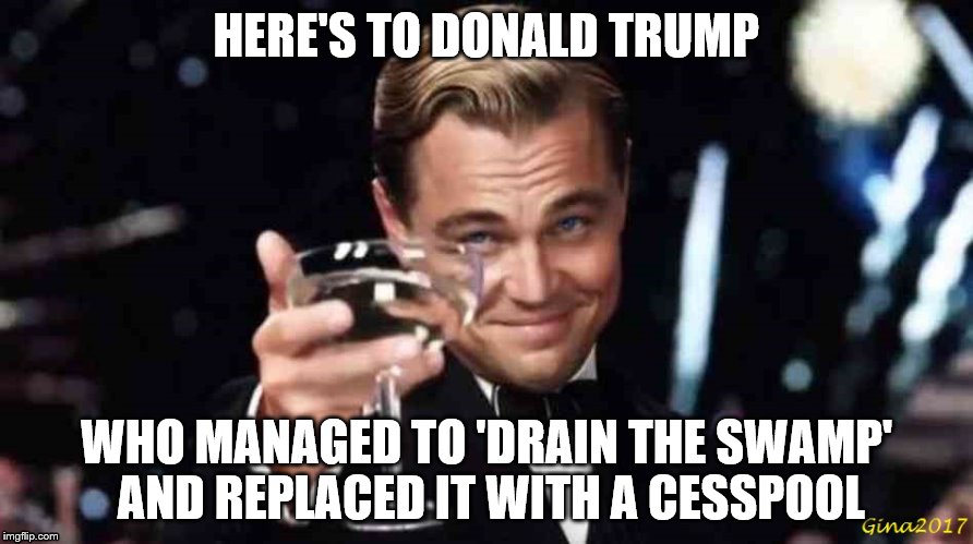 A toast to The Donald | HERE'S TO DONALD TRUMP; WHO MANAGED TO 'DRAIN THE SWAMP' AND REPLACED IT WITH A CESSPOOL | image tagged in trump toast,drain the swamp | made w/ Imgflip meme maker