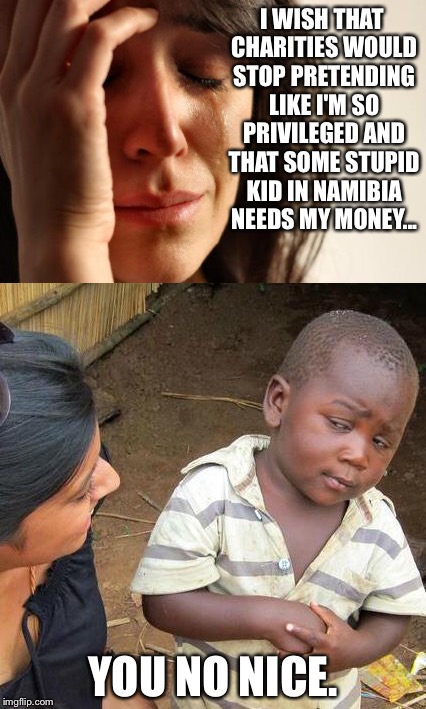 First world vs third world | I WISH THAT CHARITIES WOULD STOP PRETENDING LIKE I'M SO PRIVILEGED AND THAT SOME STUPID KID IN NAMIBIA NEEDS MY MONEY... YOU NO NICE. | image tagged in memes,first world problems,third world skeptical kid,you no nice | made w/ Imgflip meme maker