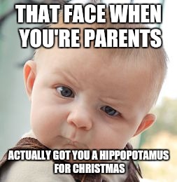 Skeptical Baby | THAT FACE WHEN YOU'RE PARENTS; ACTUALLY GOT YOU A HIPPOPOTAMUS FOR CHRISTMAS | image tagged in memes,skeptical baby | made w/ Imgflip meme maker