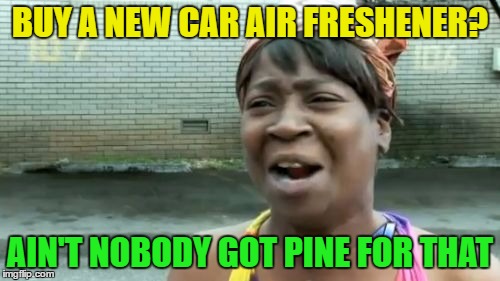 Thinking of an original idea? | BUY A NEW CAR AIR FRESHENER? AIN'T NOBODY GOT PINE FOR THAT | image tagged in memes,aint nobody got time for that,air freshener | made w/ Imgflip meme maker