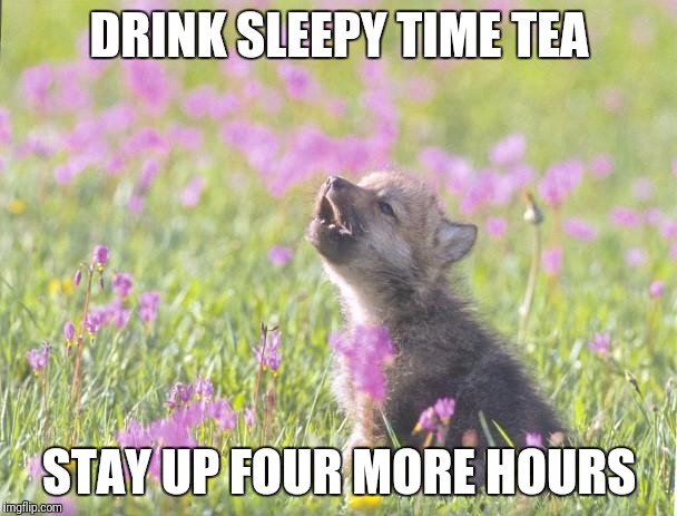 Baby Insanity Wolf Meme | DRINK SLEEPY TIME TEA; STAY UP FOUR MORE HOURS | image tagged in memes,baby insanity wolf | made w/ Imgflip meme maker