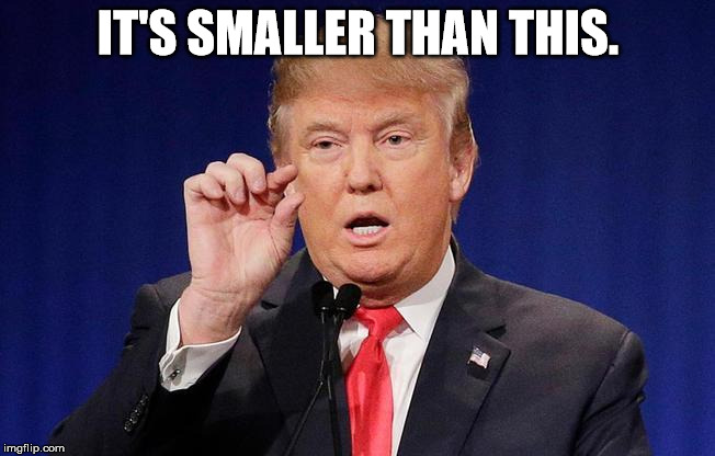 IT'S SMALLER THAN THIS. | image tagged in tiny trump | made w/ Imgflip meme maker