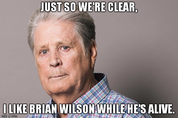 I like Brian Wilson. | JUST SO WE'RE CLEAR, I LIKE BRIAN WILSON WHILE HE'S ALIVE. | image tagged in music,beach boys,i like them while they're alive,brian wilson | made w/ Imgflip meme maker